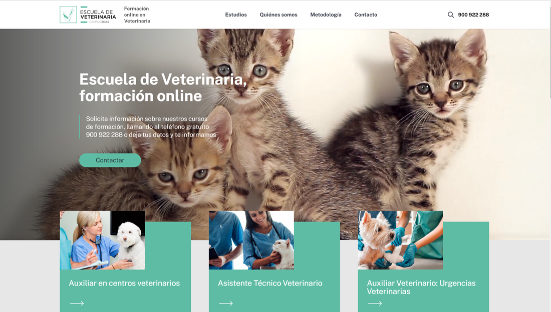 cursos-online-veterinaria