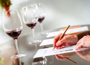 cata-de-vino_0.jpg