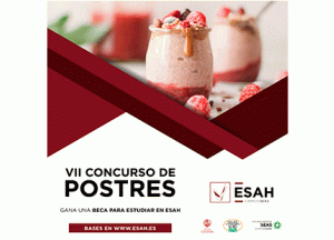 concurso-esah_1.gif