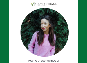 copia_de_diseno_sin_titulo_1.png