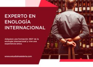 experto-enologia-internacional_0.jpg