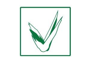 noticias-seminarios-seas_5.jpg