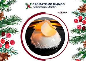CROMATISMO BLANCO: LA PROPUESTA GANADORA DE LA XI EDICIÓN DEL CONCURSO DE NAVIDAD ESAH